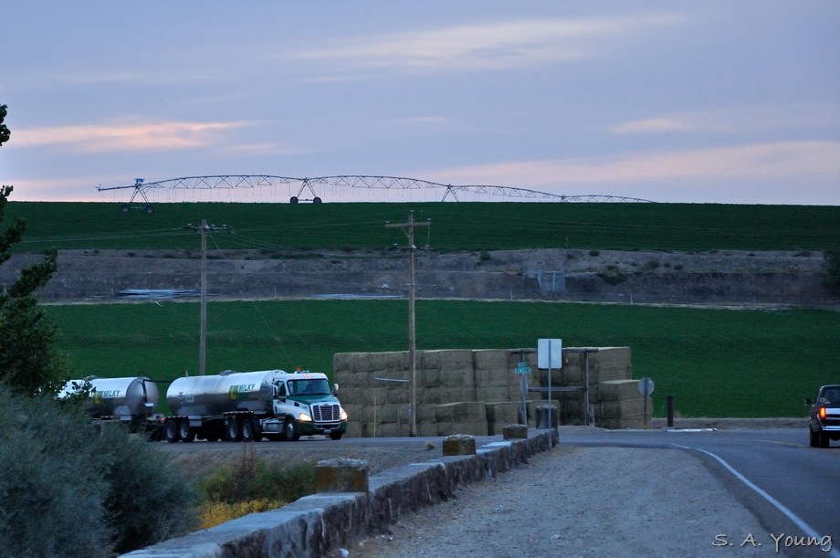 Name:  Road 5.jpg
Views: 542
Size:  122.4 KB