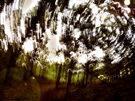 Name:  blur woods 2mo.jpg
Views: 413
Size:  95.5 KB