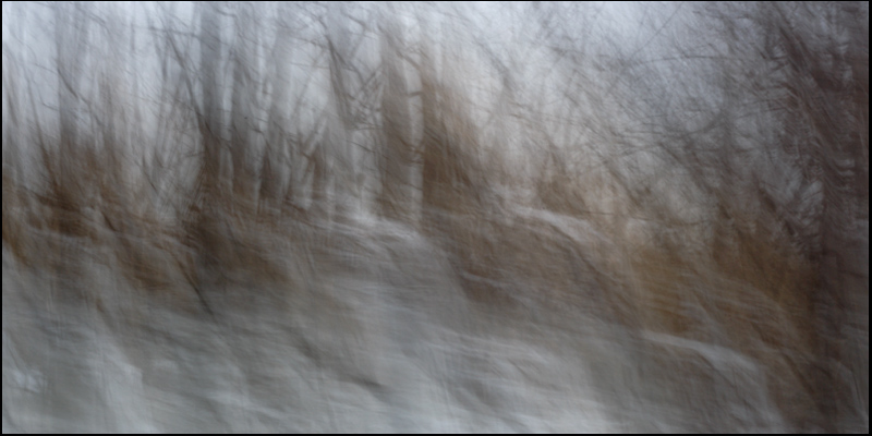 Name:  Impressionist, Snow on Ground.jpg
Views: 719
Size:  144.3 KB