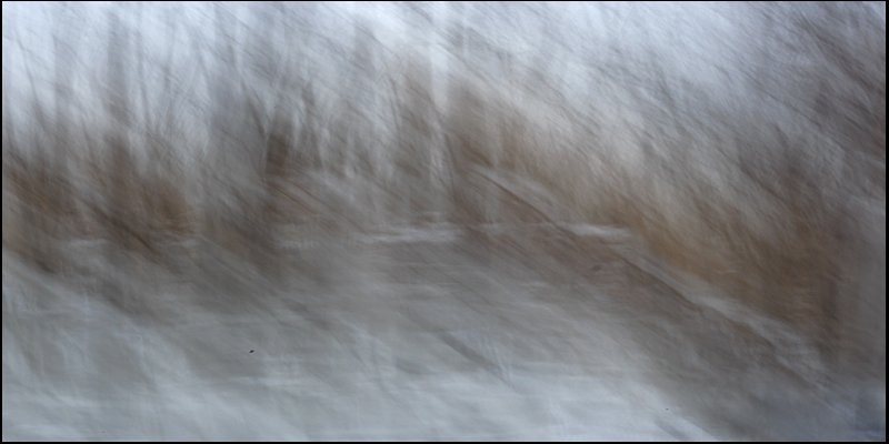 Name:  Impressionist,Snow on Ground, b.jpg
Views: 550
Size:  197.1 KB