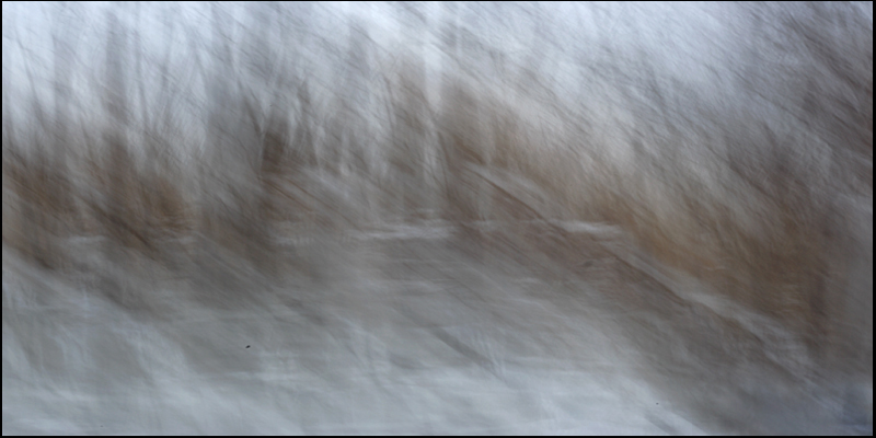 Name:  Impressionist,Snow on Ground, b.jpg
Views: 752
Size:  197.1 KB