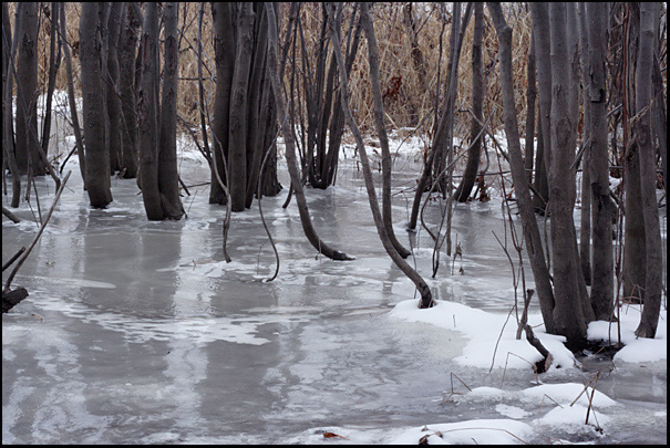 Name:  Frozen Riverbank.jpg
Views: 440
Size:  164.4 KB