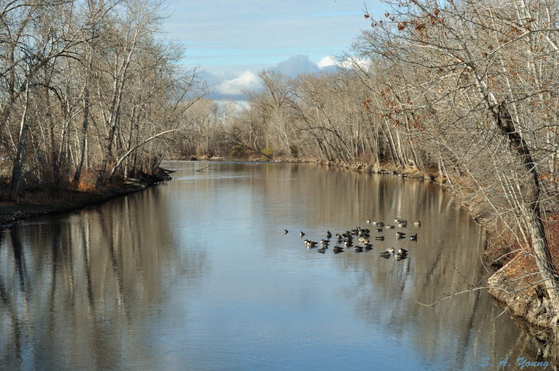 Name:  River 1.jpg
Views: 730
Size:  201.7 KB