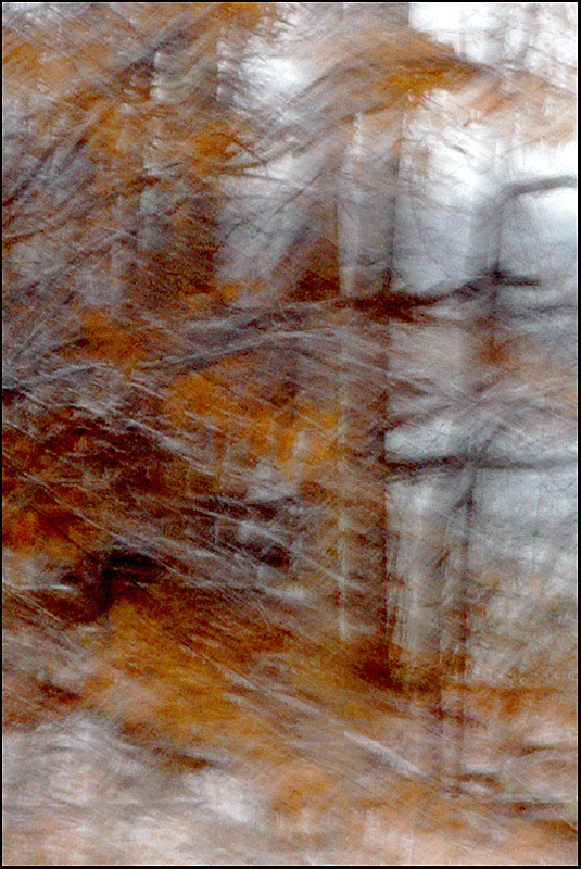 Name:  Snowy Autumn.jpg
Views: 462
Size:  175.4 KB