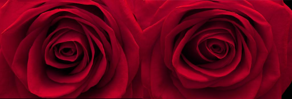 Name:  Red stare.jpg
Views: 574
Size:  30.6 KB