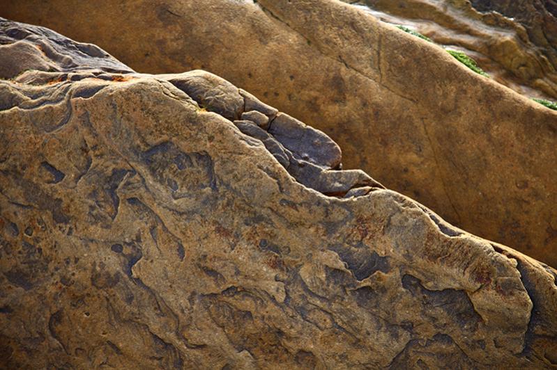 Name:  Fossil-like rock.jpg
Views: 1214
Size:  89.1 KB