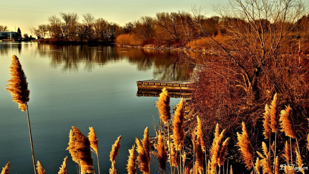 Name:  EarlySpringMorningBoatLaunch.jpg
Views: 599
Size:  141.7 KB