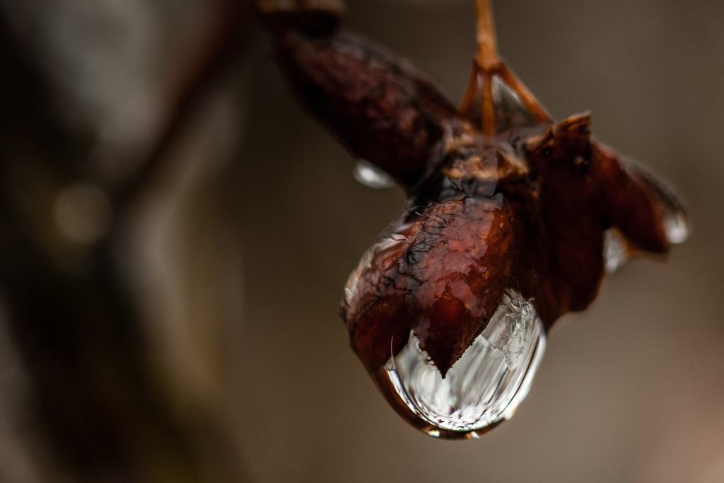 Name:  ice-29.JPG
Views: 468
Size:  225.1 KB
