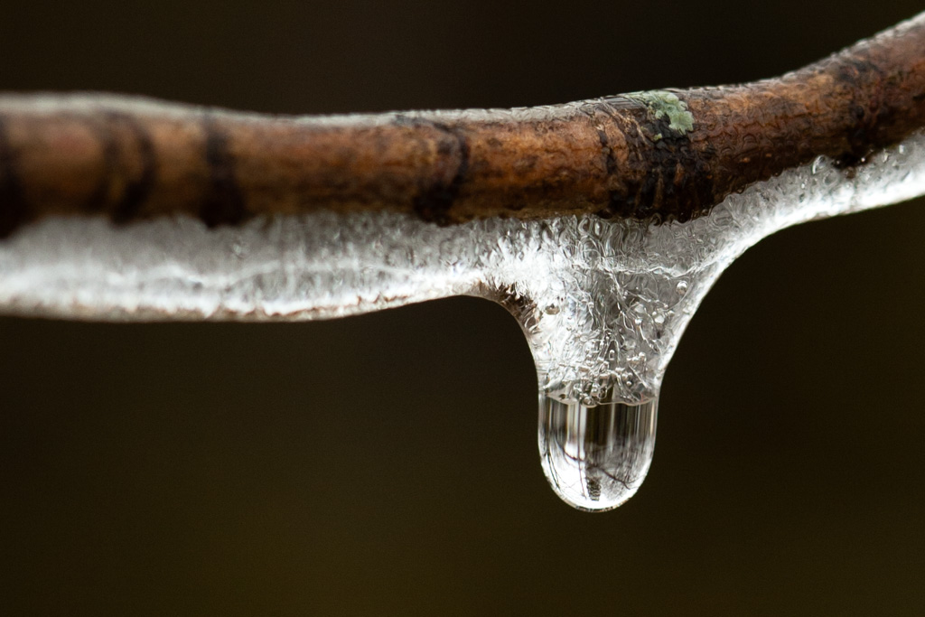 Name:  ice-26.JPG
Views: 537
Size:  176.9 KB