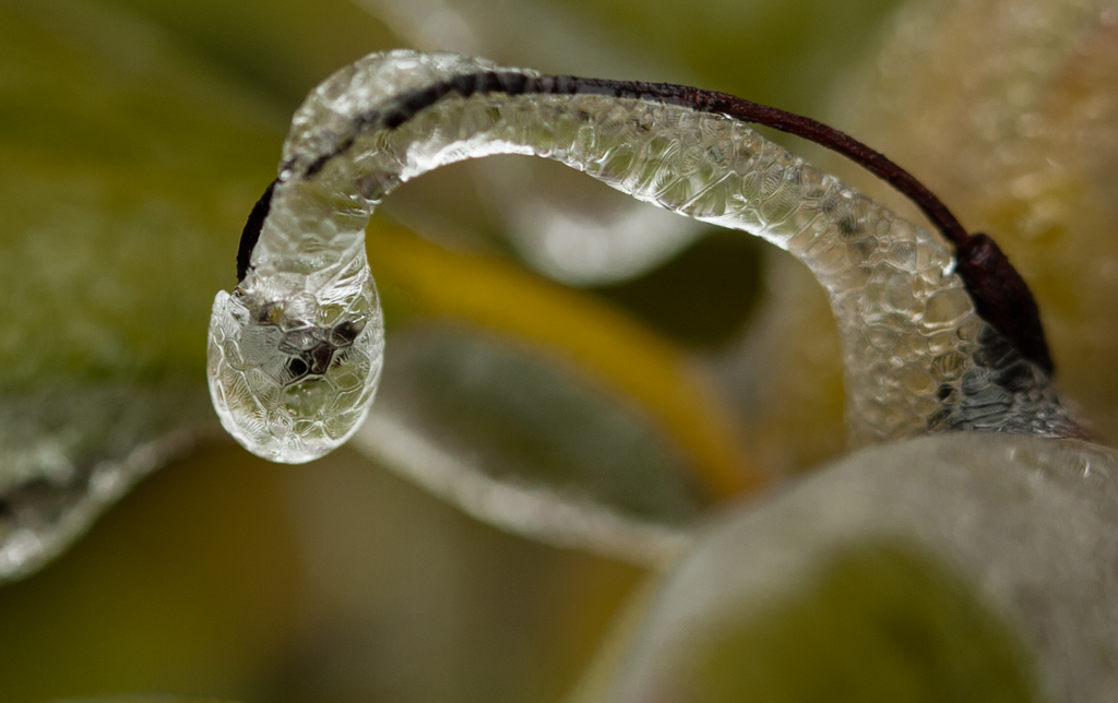 Name:  ice-30.JPG
Views: 478
Size:  248.4 KB