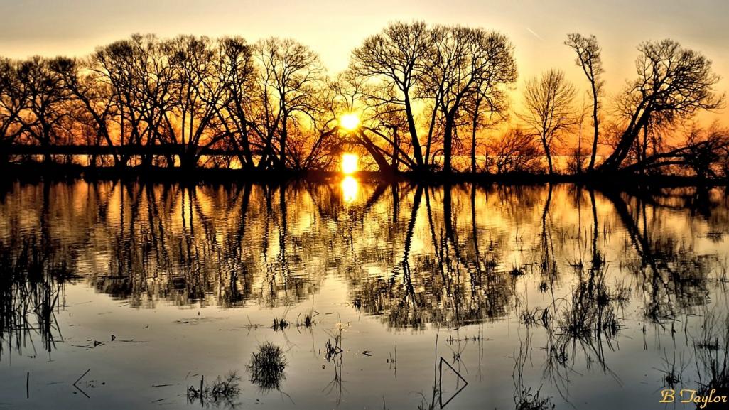 Name:  TreesOfSun.jpg
Views: 550
Size:  152.0 KB