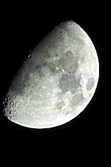 Name:  DSC_0442.jpg
Views: 428
Size:  9.6 KB