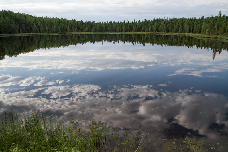 Name:  reflection.jpg
Views: 355
Size:  261.3 KB