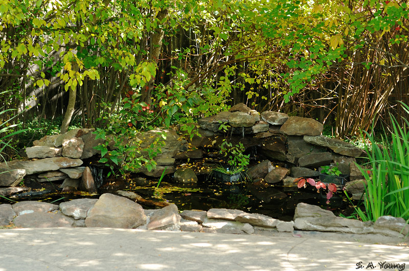 Name:  Pond 1.jpg
Views: 562
Size:  301.9 KB