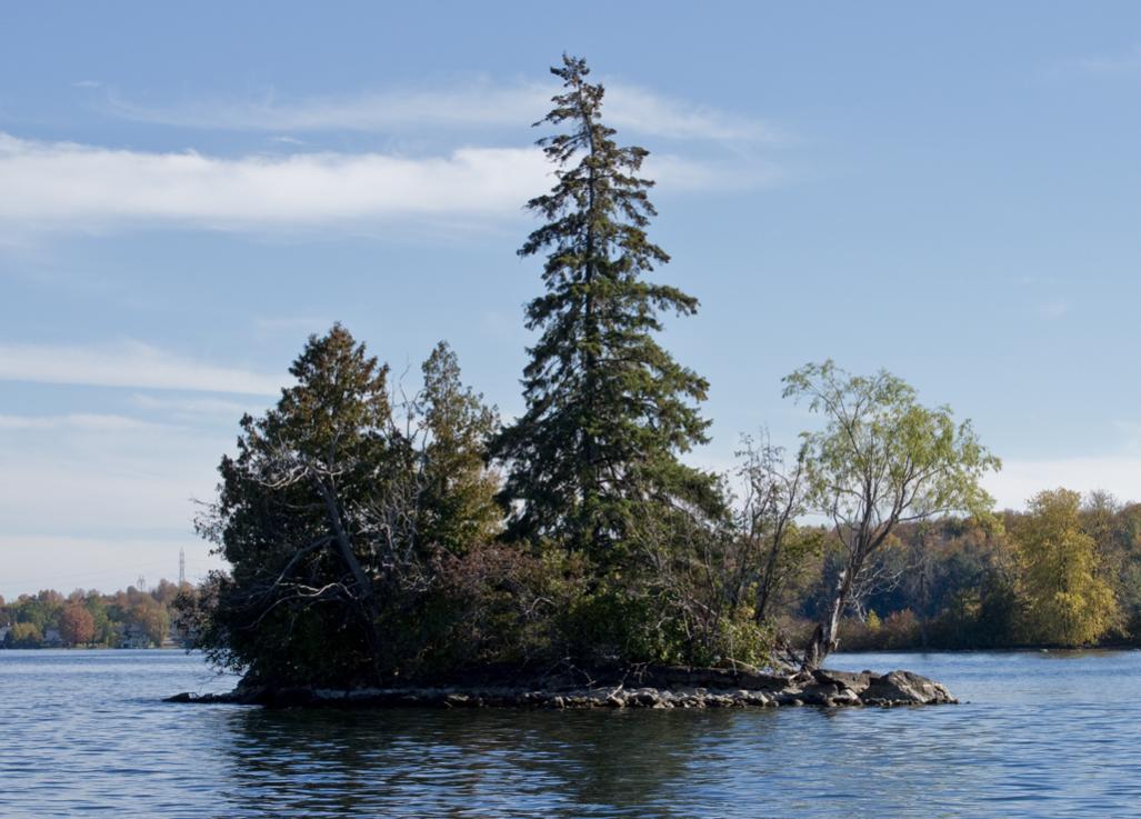 Name:  Fall, Rideau Lake, Oct 10,2013  (3).jpg
Views: 249
Size:  98.4 KB