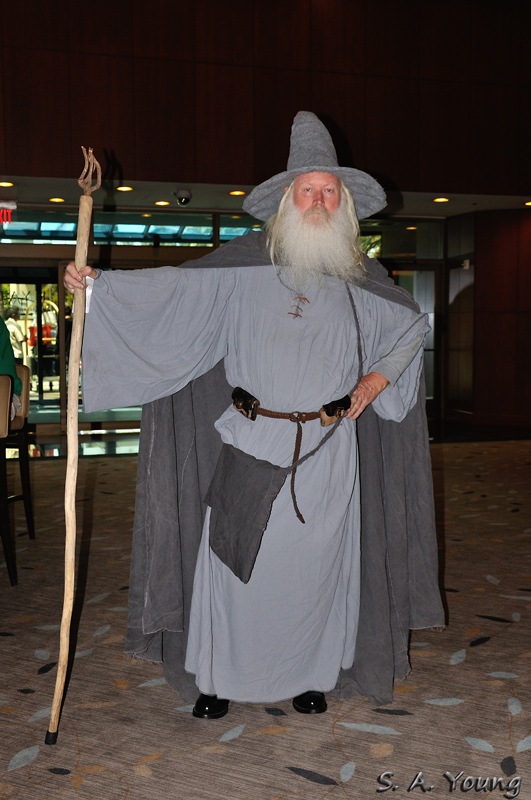 Name:  12 Gandalf.jpg
Views: 319
Size:  231.3 KB