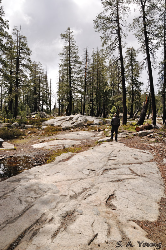 Name:  29 Rest Stop.jpg
Views: 294
Size:  253.2 KB