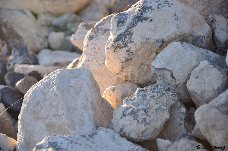 Name:  Rocks 1.jpg
Views: 443
Size:  281.1 KB