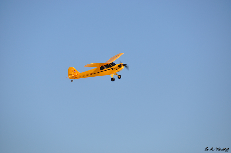 Name:  Cub 2.jpg
Views: 453
Size:  177.2 KB