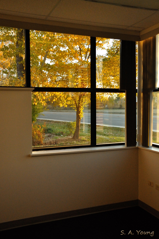 Name:  Office View 1.jpg
Views: 237
Size:  298.4 KB