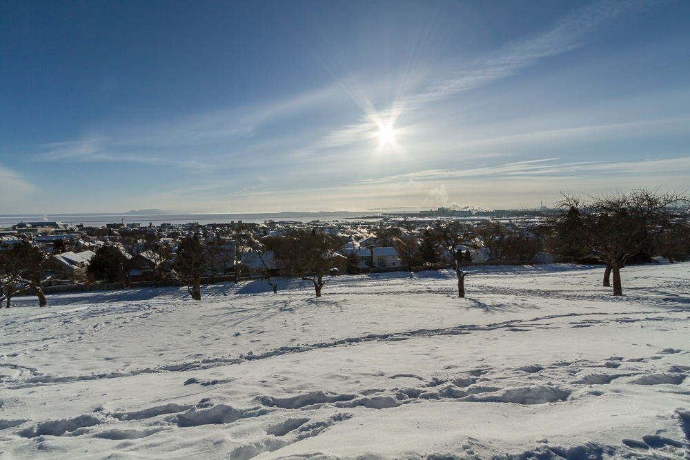 Name:  hill street 10mm full.JPG
Views: 379
Size:  225.1 KB