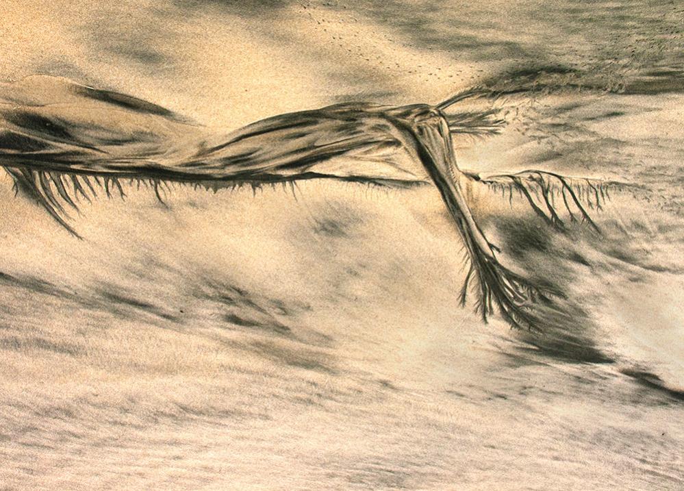 Name:  Swimmer_M4118.jpg
Views: 438
Size:  151.5 KB