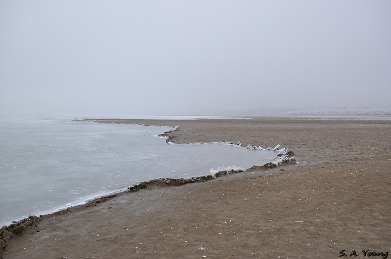Name:  Lake Lowell 6.jpg
Views: 513
Size:  274.1 KB