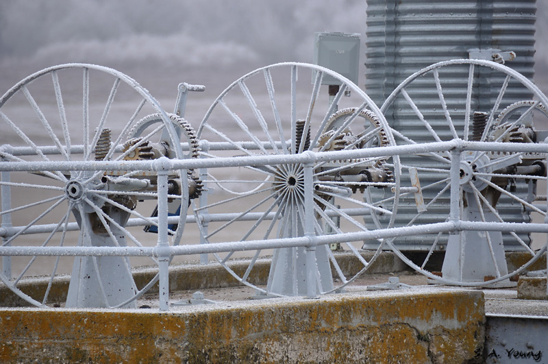 Name:  Wheels 2.jpg
Views: 500
Size:  235.1 KB