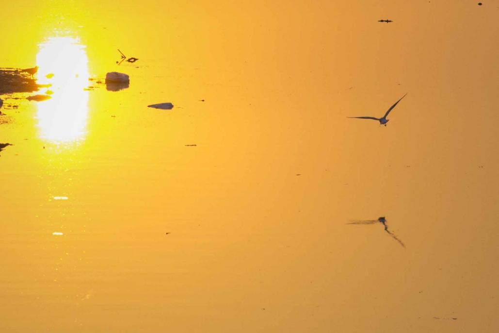 Name:  Sunset, mind space 2 web.jpg
Views: 324
Size:  28.5 KB