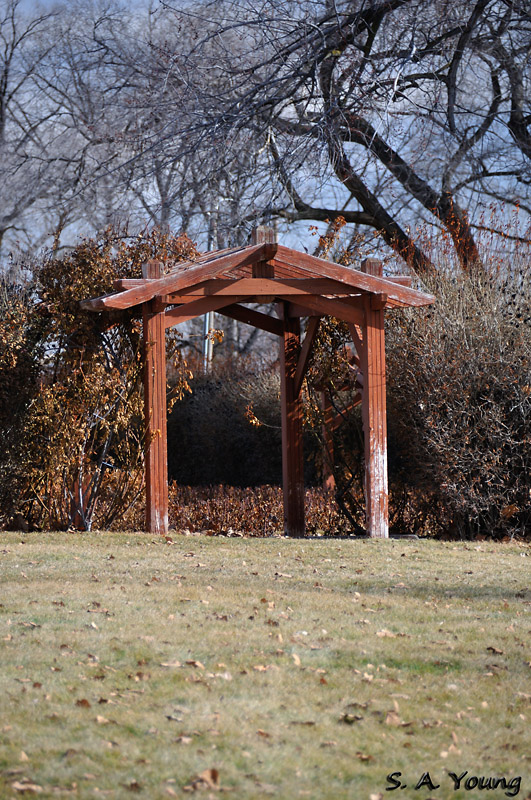 Name:  Rose Garden 1.jpg
Views: 427
Size:  269.2 KB