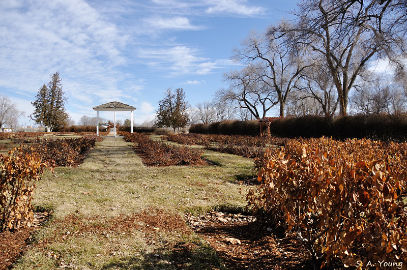 Name:  Rose Garden 4.jpg
Views: 426
Size:  293.0 KB