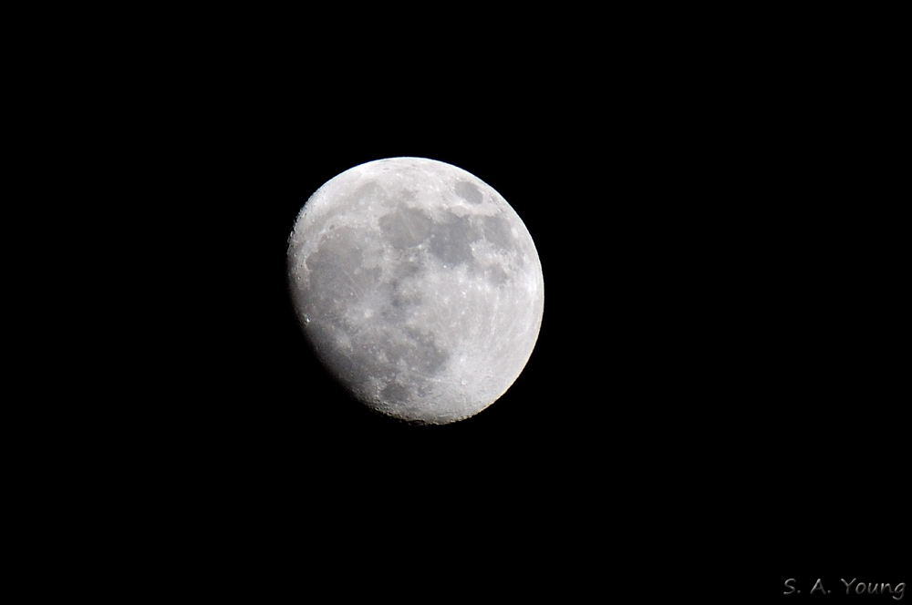 Name:  Moon 1.jpg
Views: 220
Size:  120.0 KB