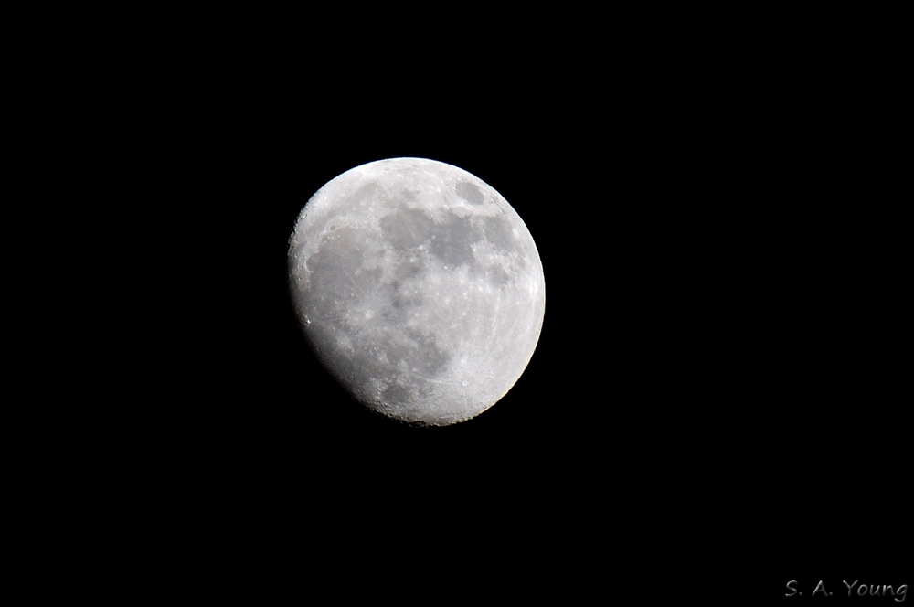 Name:  Moon 1.jpg
Views: 401
Size:  120.0 KB