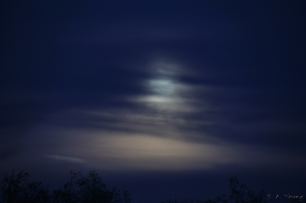 Name:  Mist Moon 2.jpg
Views: 338
Size:  280.1 KB