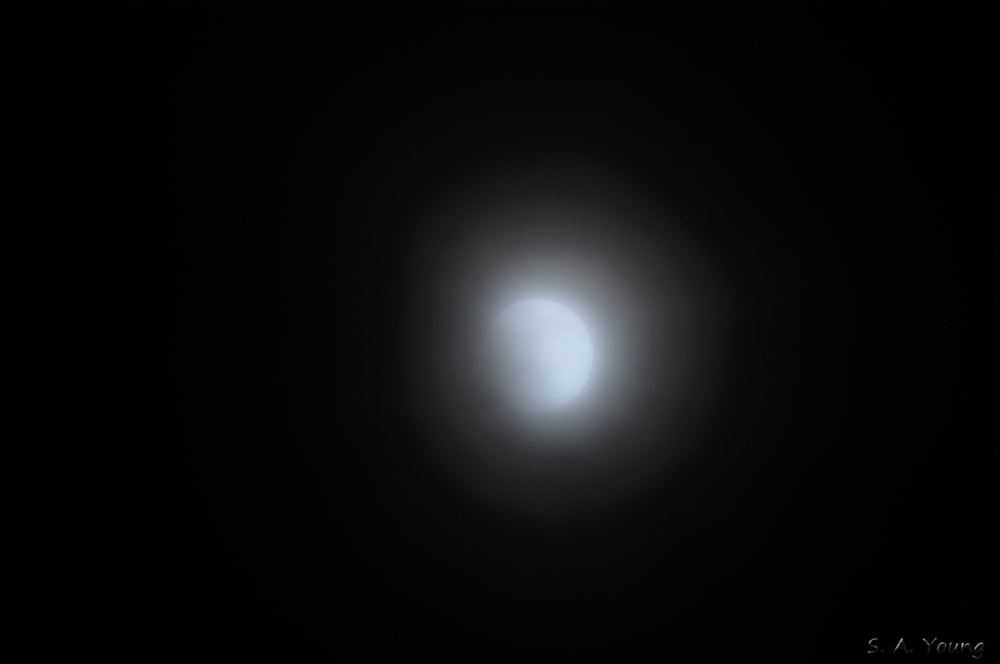 Name:  Mist Moon 3.jpg
Views: 358
Size:  167.9 KB
