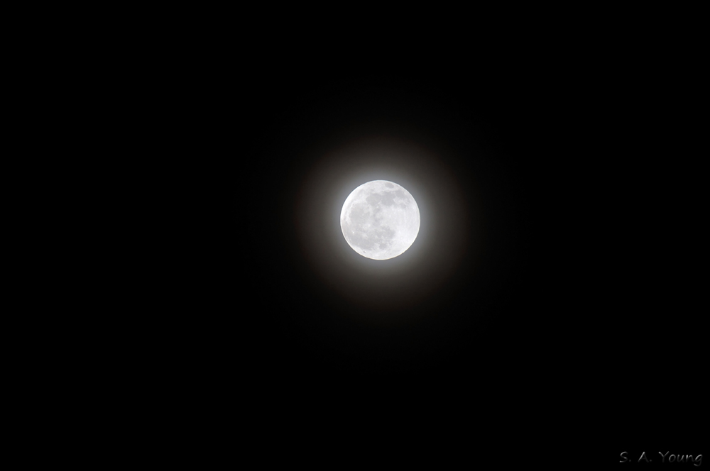 Name:  Mist Moon 1.jpg
Views: 350
Size:  105.7 KB
