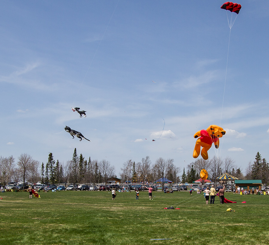 Name:  winnie.JPG
Views: 990
Size:  284.3 KB