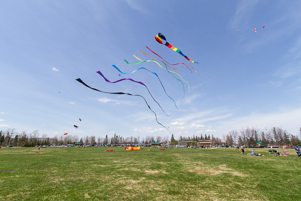 Name:  big kite2.JPG
Views: 576
Size:  264.9 KB