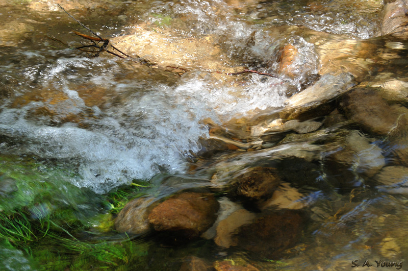 Name:  Water 1.jpg
Views: 383
Size:  262.1 KB
