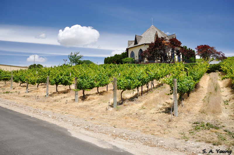 Name:  Tasting Room 4.jpg
Views: 488
Size:  249.0 KB