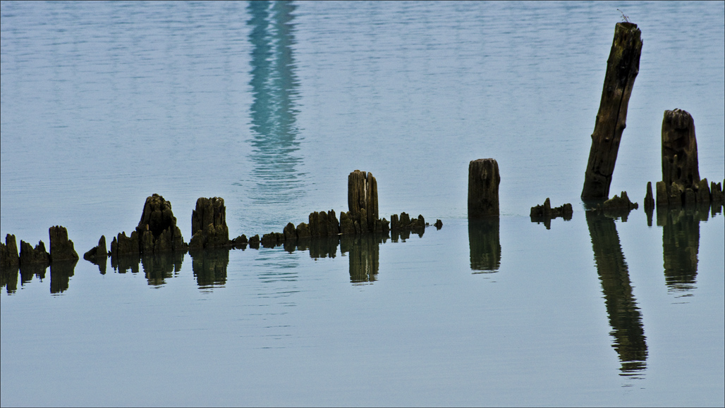 Name:  Water,forms, Nov 2014.jpg
Views: 456
Size:  300.4 KB