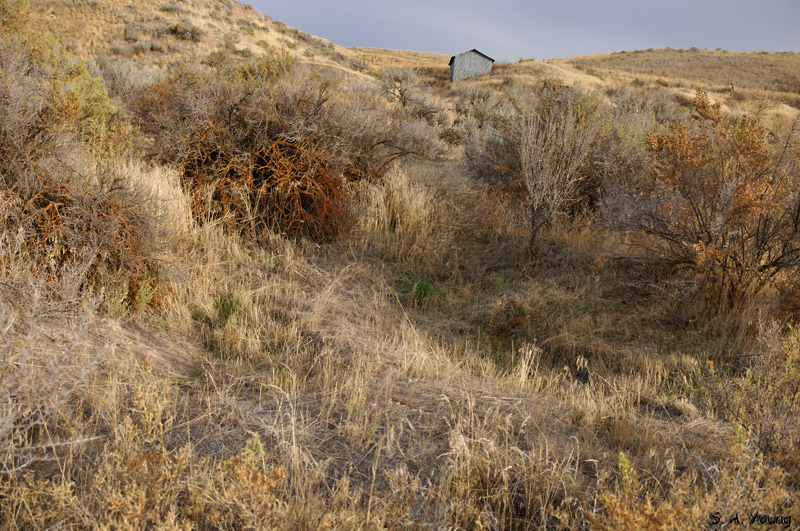 Name:  302_Baker City.jpg
Views: 356
Size:  248.4 KB
