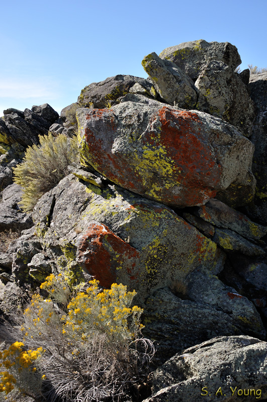 Name:  093_Baker City.jpg
Views: 332
Size:  303.0 KB