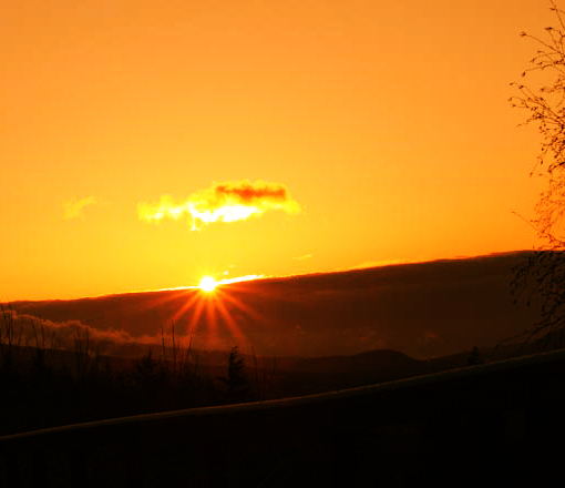 Name:  P3076514 2.jpg
Views: 487
Size:  97.7 KB