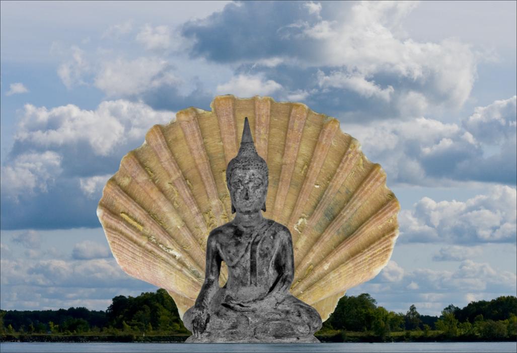 Name:  Buddha,shell,cloud  .jpg
Views: 314
Size:  83.5 KB