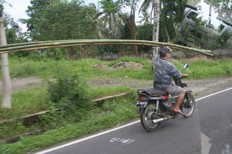 Name:  moped-2.jpg
Views: 354
Size:  321.7 KB