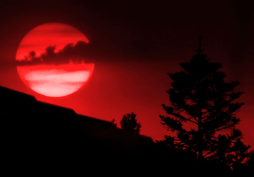 Name:  suncrop.jpg
Views: 895
Size:  40.0 KB