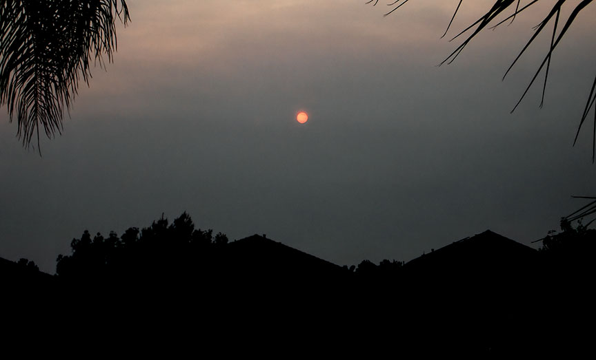 Name:  peek2.jpg
Views: 672
Size:  36.6 KB