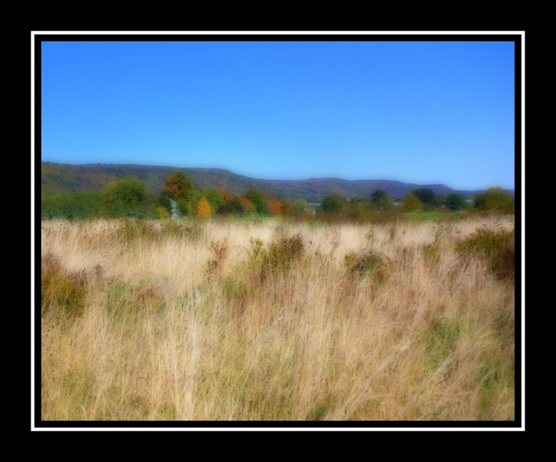 Name:  IMG_4844-Orton.jpg
Views: 362
Size:  143.7 KB
