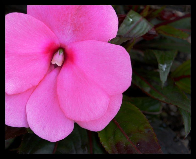 Name:  IMG_2159.JPG
Views: 1310
Size:  147.7 KB